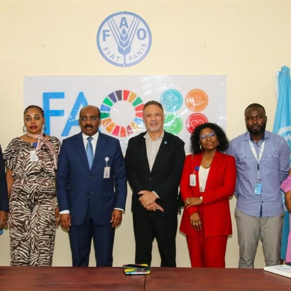 CNDES y FAO exploran una cooperación técnica para modernizar la agricultura en Guinea Ecuatorial